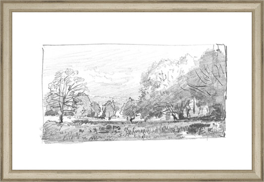 Framed Charcoal Trees 1. Frame: Traditional Silver. Paper: Rag Paper. Art Size: 10x15. Final Size: 11'' X 16''