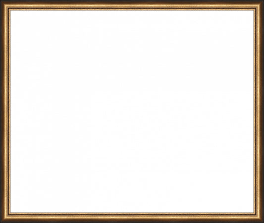 Distressed Gold and Black Frame. Opening Size: 20x24. Final Size: 21'' X 25''