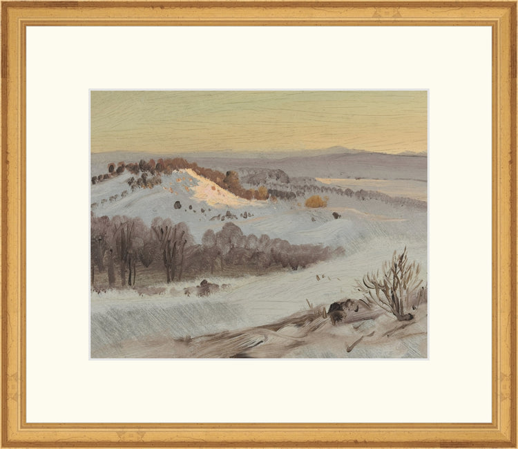 Mountain View OAShop 2