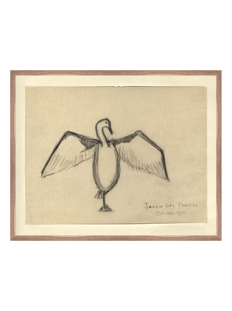 The Great Cormorant HoJ 2