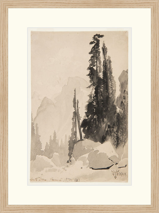 Antique Trees Drawing OAShop 2