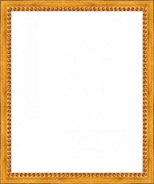 Gold Beaded Frame. Opening Size: 11x9. Final Size: 12'' X 10''