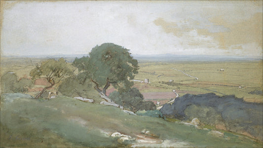 Framed Olivos. Frame: No Frame. Paper: Watercolor Paper. Art Size: 9x16. Final Size: 9'' X 16''