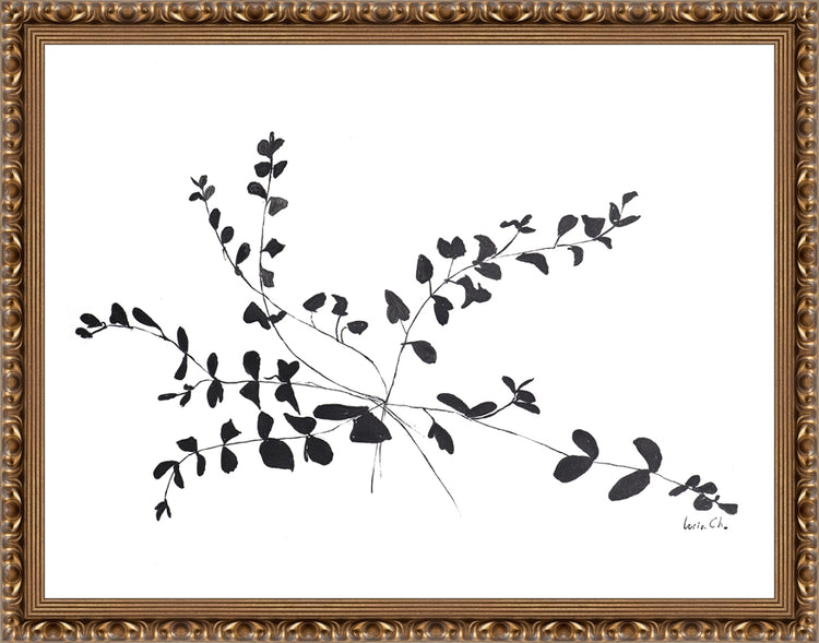 Framed Ink Botanical. Frame: Gold Ornate. Paper: Rag Paper. Art Size: 16x21. Final Size: 18'' X 23''