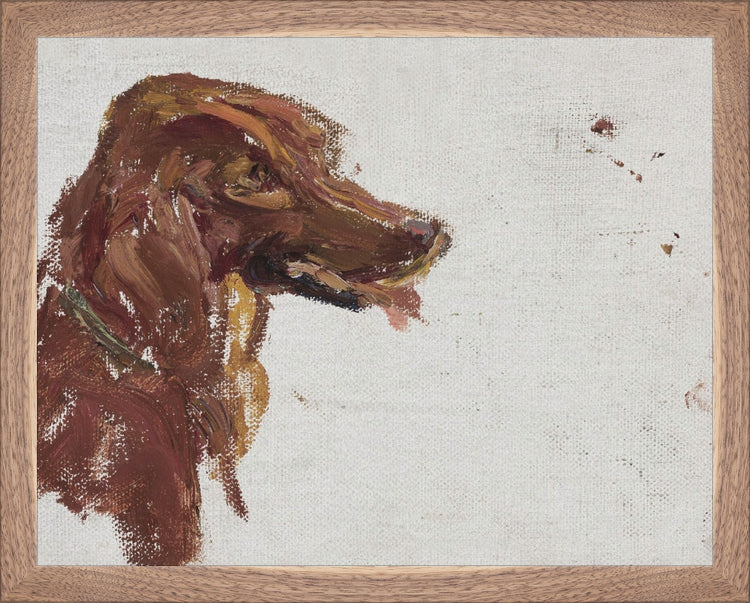 Dog Study HoJ