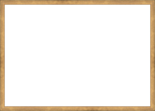 Timeless Gold Frame. Opening Size: 19x27. Final Size: 20'' X 28''