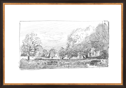 Framed Charcoal Trees 1. Frame: Traditional Black and Gold. Paper: Rag Paper. Art Size: 13x19. Final Size: 14'' X 20''