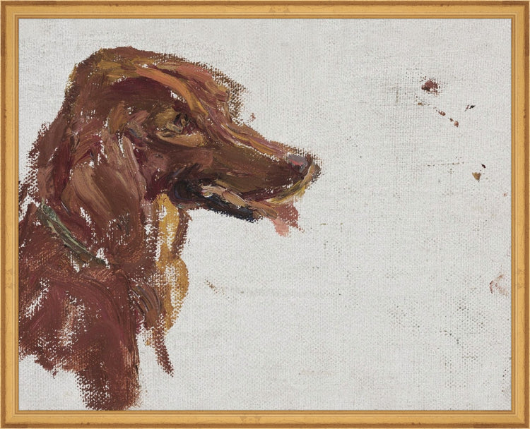 Dog Study HoJ