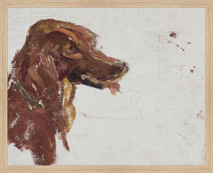 Dog Study HoJ