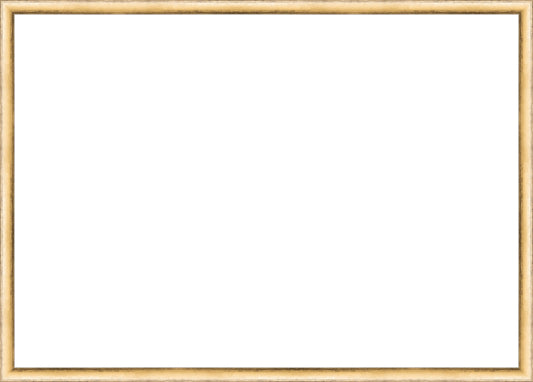 Deep Silver Leafed Frame. Opening Size: 19x27. Final Size: 20'' X 28''