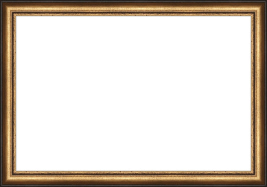 Distressed Gold and Black Frame. Opening Size: 10x15. Final Size: 11'' X 16''