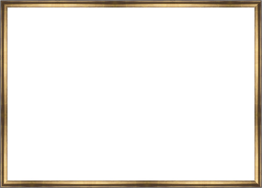 Muted Gold Frame. Opening Size: 19x27. Final Size: 20'' X 28''