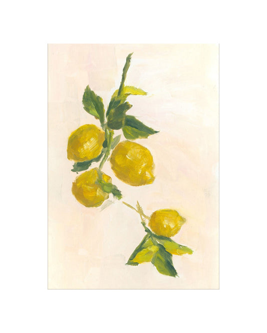 Lemon Branch