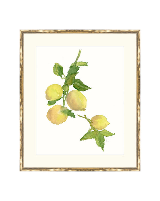 Watercolor Lemon Branch