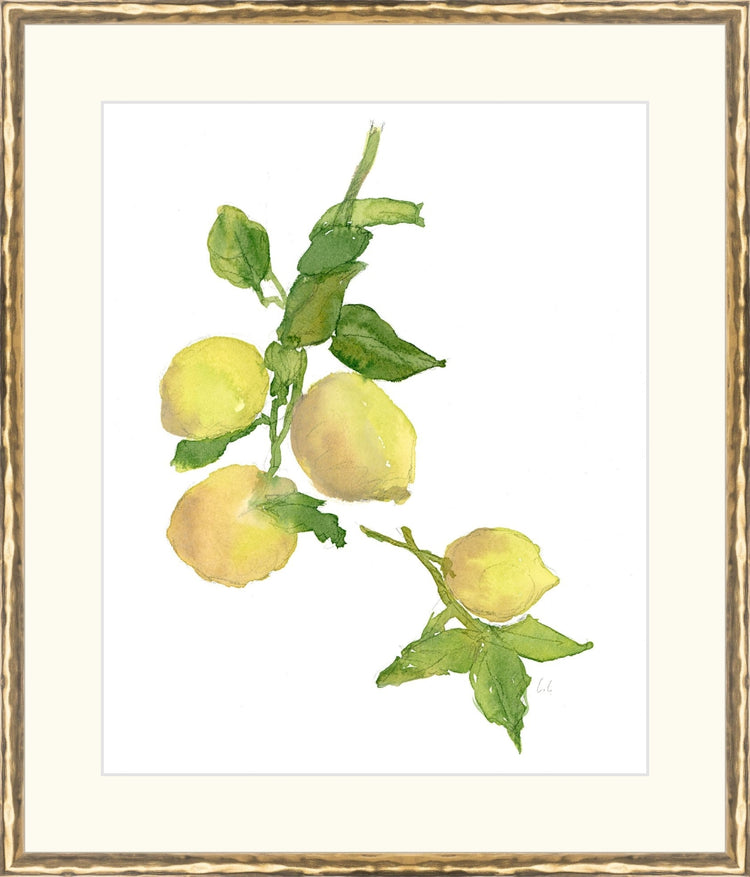 Uploaded Art:Lemon Branch copy 4 5.jpg. Frame: Gold Textured. Paper: Rag Paper. Art Size: 16x13. Final Size: 20'' X 17''