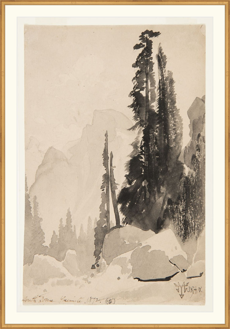 Antique Trees Drawing OAShop 2