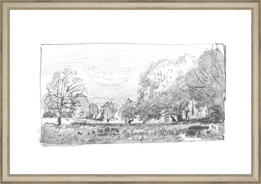 Framed Charcoal Trees 1. Frame: Traditional Silver. Paper: Rag Paper. Art Size: 13x19. Final Size: 14'' X 20''