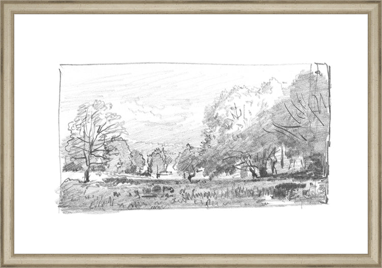 Framed Charcoal Trees 1. Frame: Traditional Silver. Paper: Rag Paper. Art Size: 13x19. Final Size: 14'' X 20''