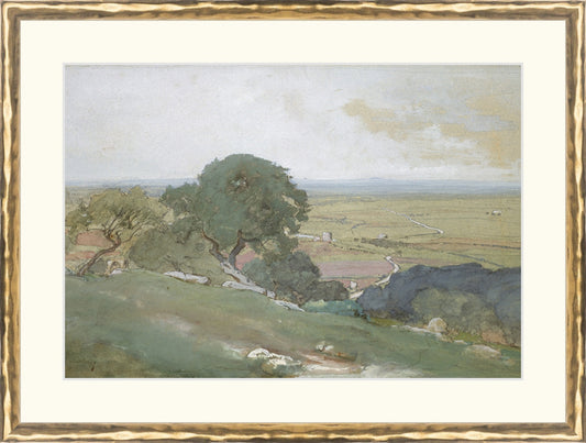 Framed Olivos. Frame: Gold Textured. Paper: Rag Paper. Art Size: 9x13. Final Size: 12'' X 16''