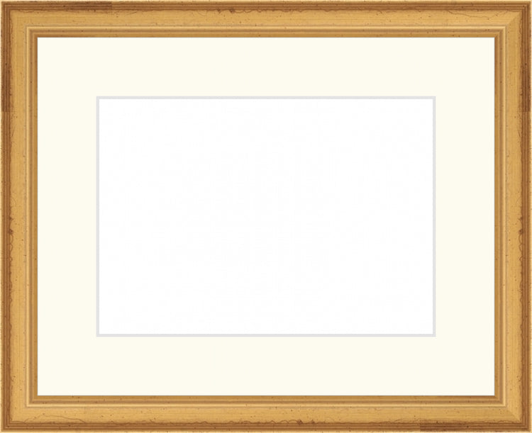 Traditional Gold Frame. Opening Size: 5x7. Final Size: 9'' X 11''