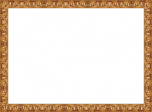 Valencia Gold Frame. Opening Size: 12x17. Final Size: 13'' X 18''