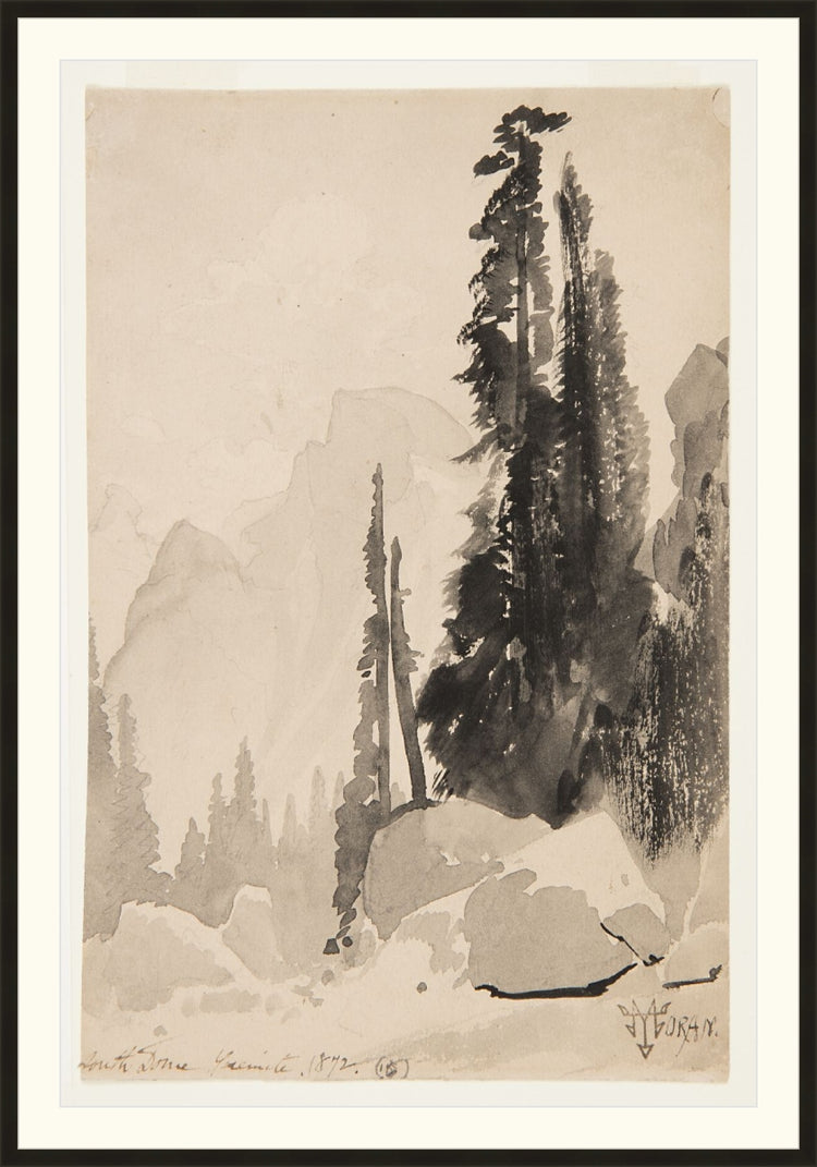 Antique Trees Drawing OAShop 2