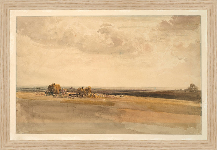 Framed Wheat Field. Frame: Natural Oak. Paper: Rag Paper. Art Size: 10x15. Final Size: 11'' X 16''