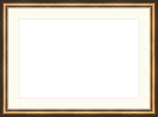 Distressed Gold and Black Frame. Opening Size: 10x15. Final Size: 14'' X 19''