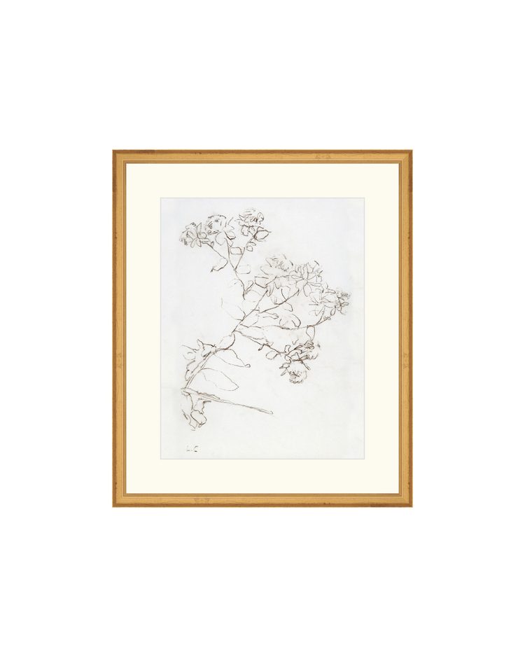 Botanical Study II HoJ