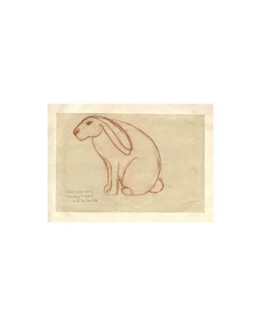Charming Rabbit