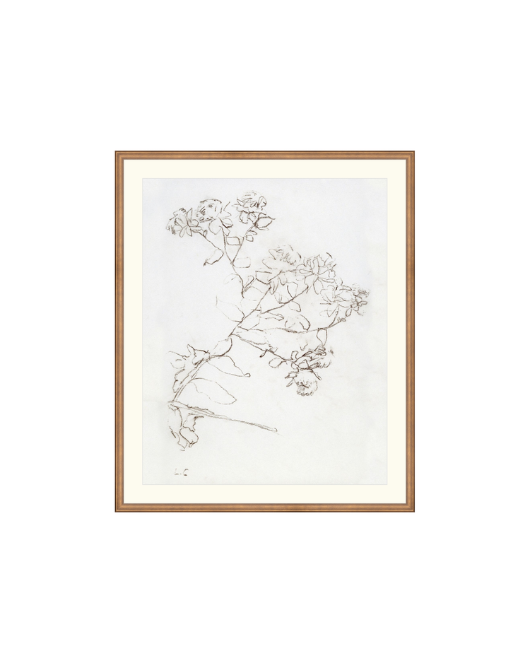 Botanical Study II HoJ