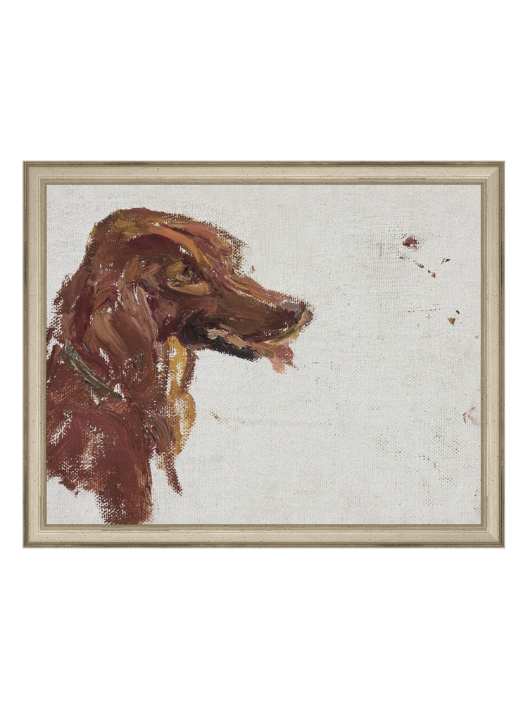 Dog Study HoJ 2
