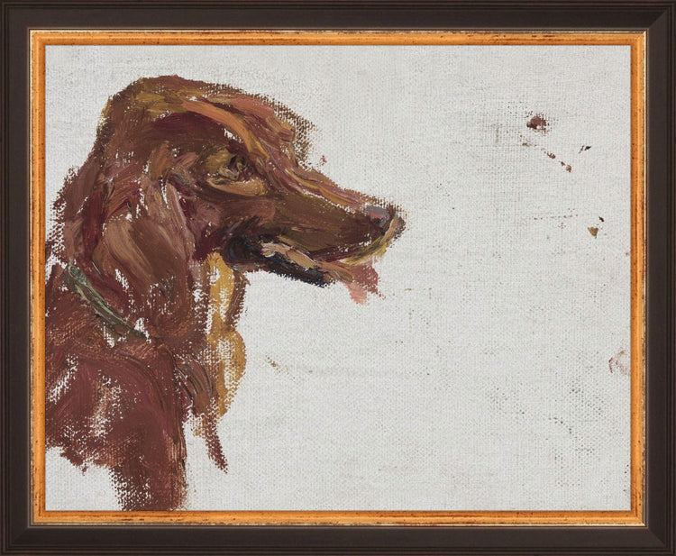 Dog Study HoJ