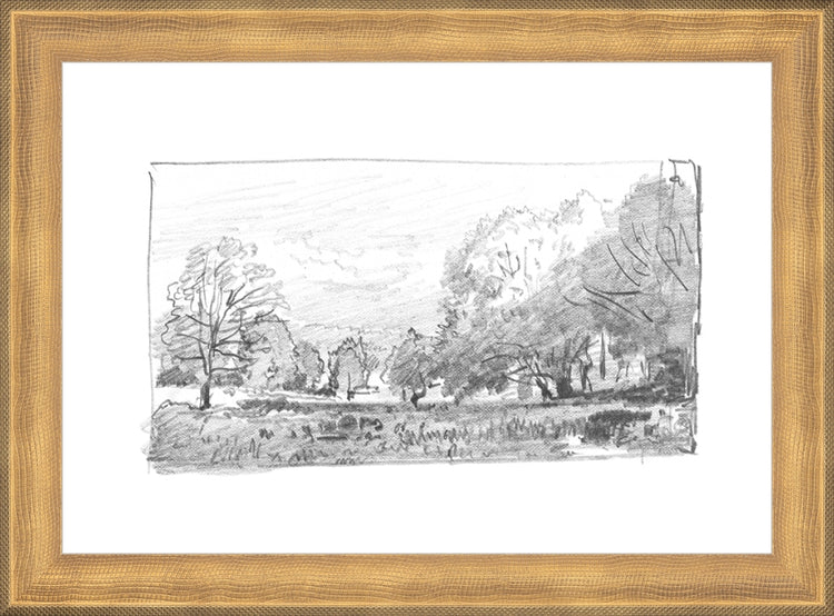 Framed Charcoal Trees 1. Frame: Timeless Gold. Paper: Rag Paper. Art Size: 7x10. Final Size: 8'' X 11''