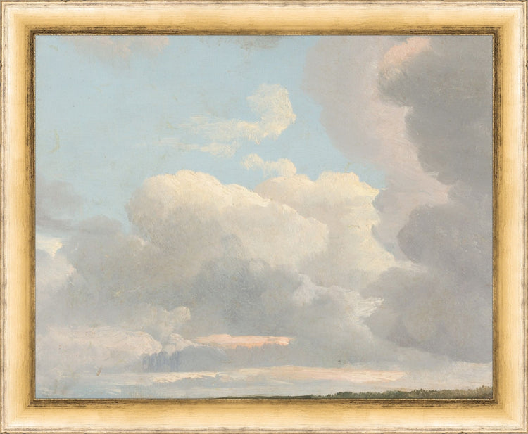 Morning Calm OAShop 2