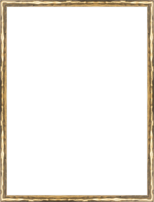 Gold Textured Frame. Opening Size: 16x12. Final Size: 16'' X 12''