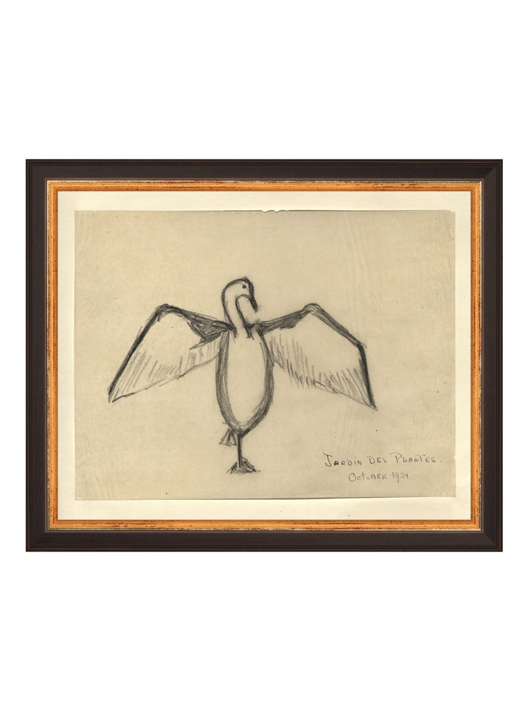 The Great Cormorant HoJ 2