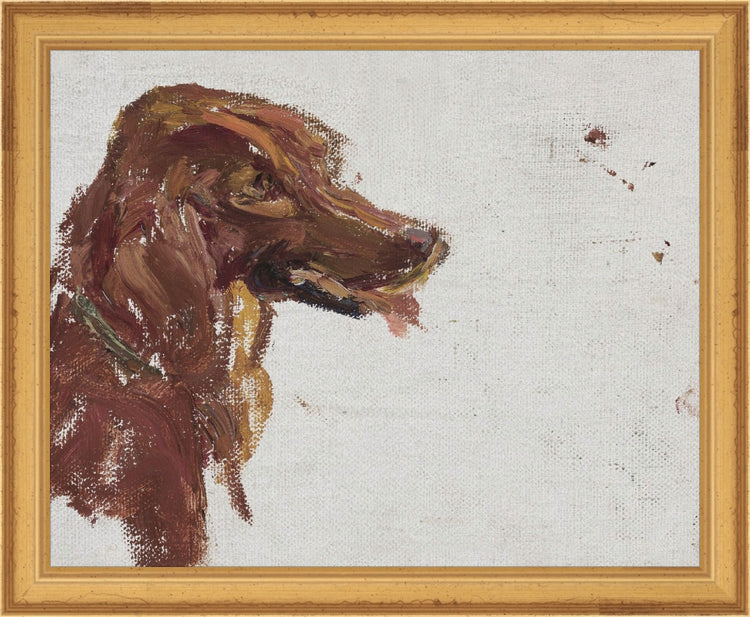 Dog Study HoJ