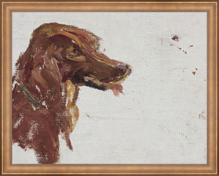 Dog Study HoJ