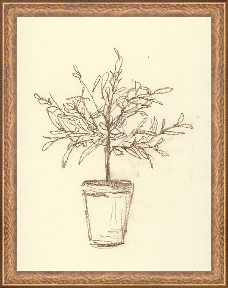 Framed Olive Tree Sketch. Frame: Timeless Bronze. Paper: Rag Paper. Art Size: 13x10. Final Size: 14'' X 11''