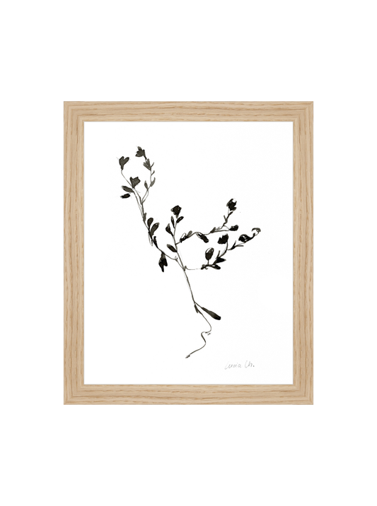 Sketched Botanical HoJ 2