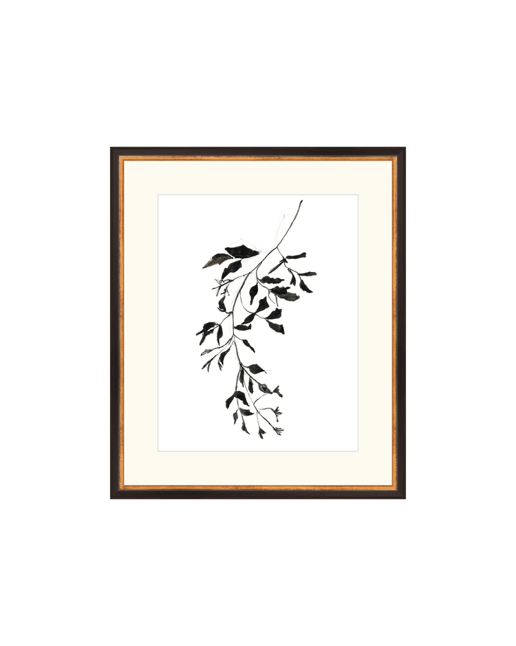 Botanical Ink Study II HoJ