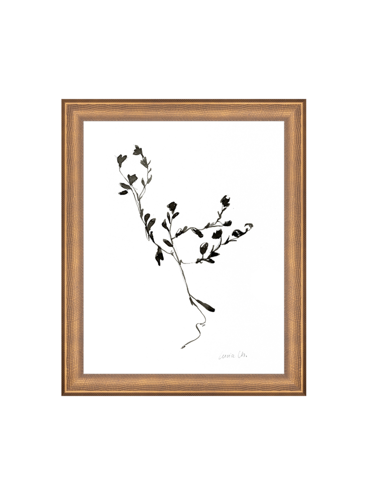 Sketched Botanical HoJ 2