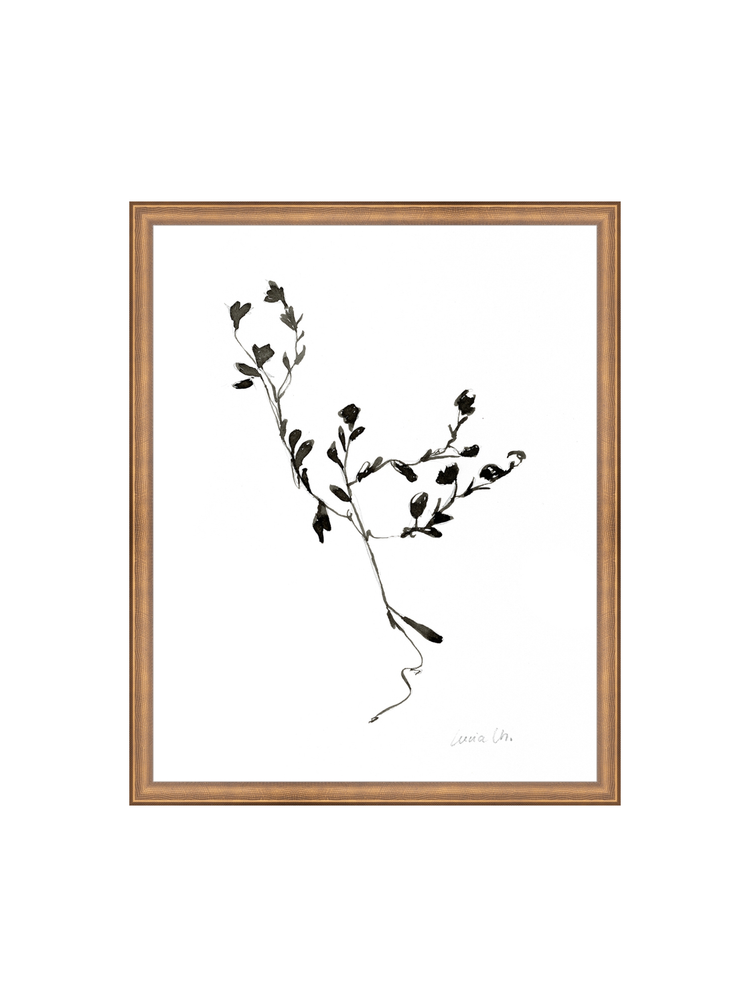 Sketched Botanical HoJ 2