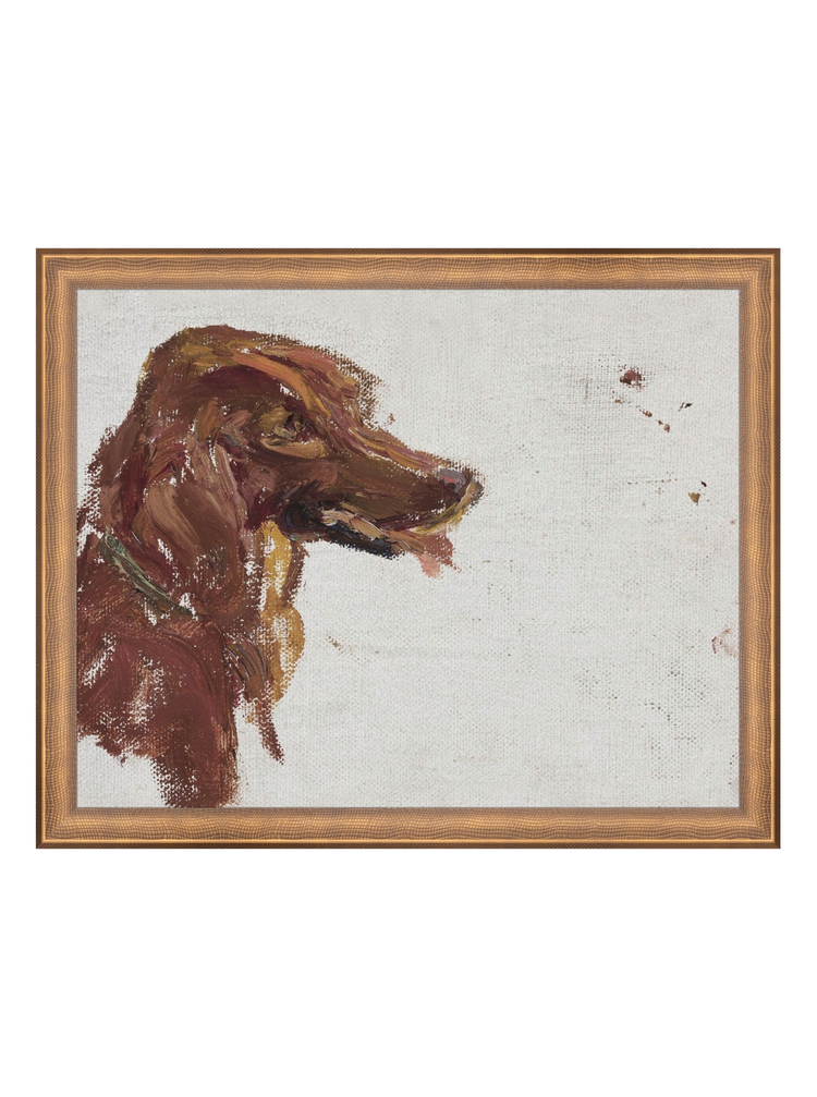 Dog Study HoJ 2
