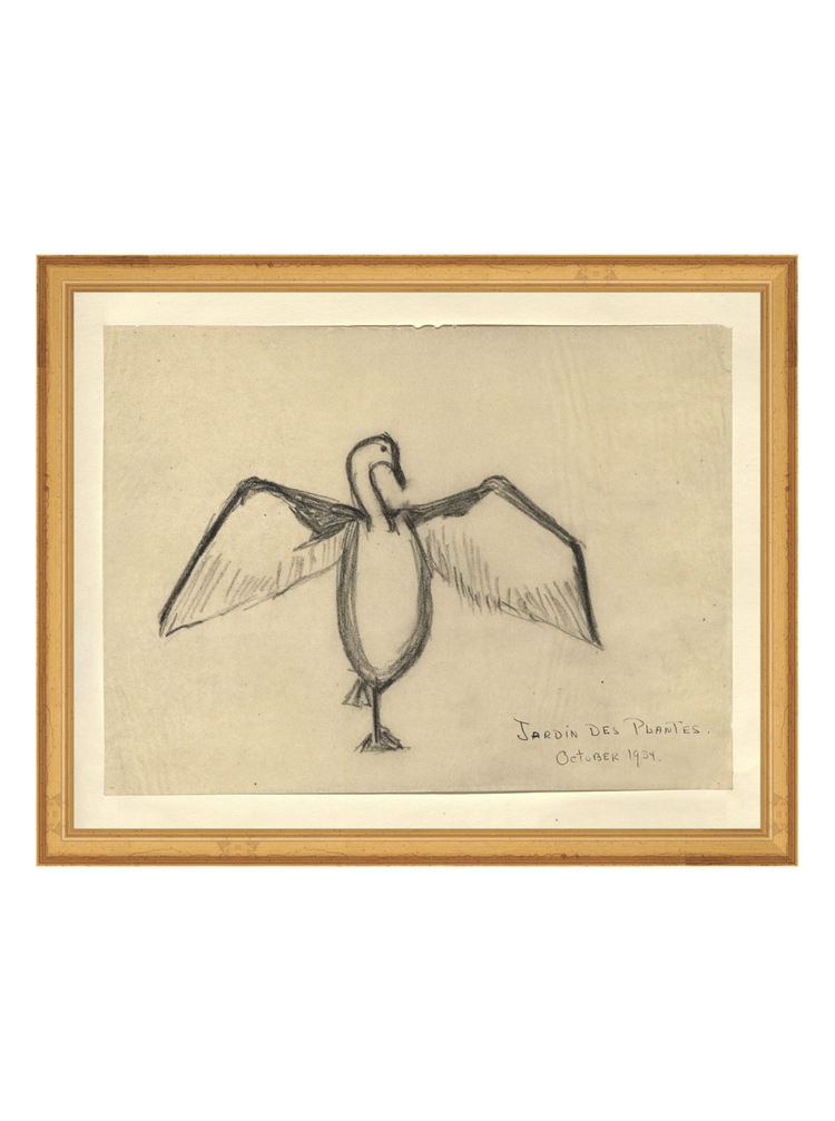 The Great Cormorant HoJ 2