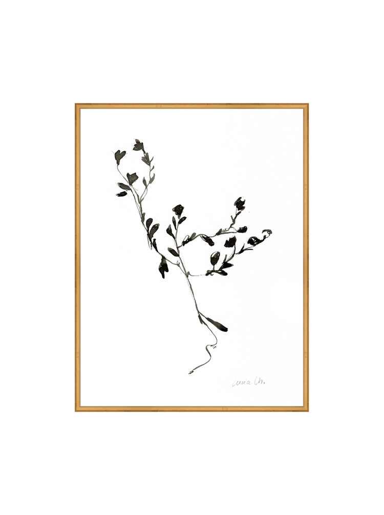 Sketched Botanical HoJ 2