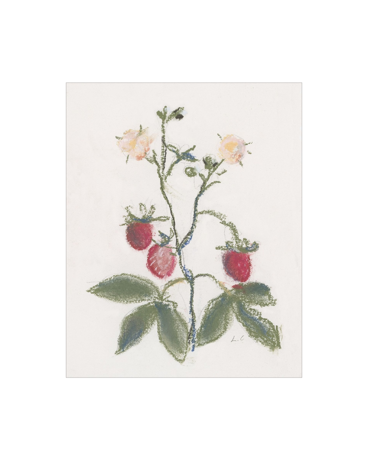 Strawberry Branch