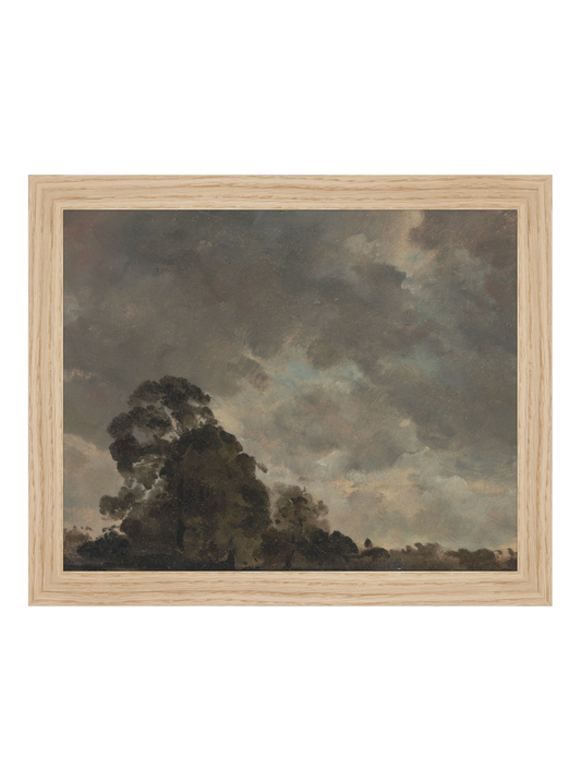 Trees on the Horizon HoJ 2