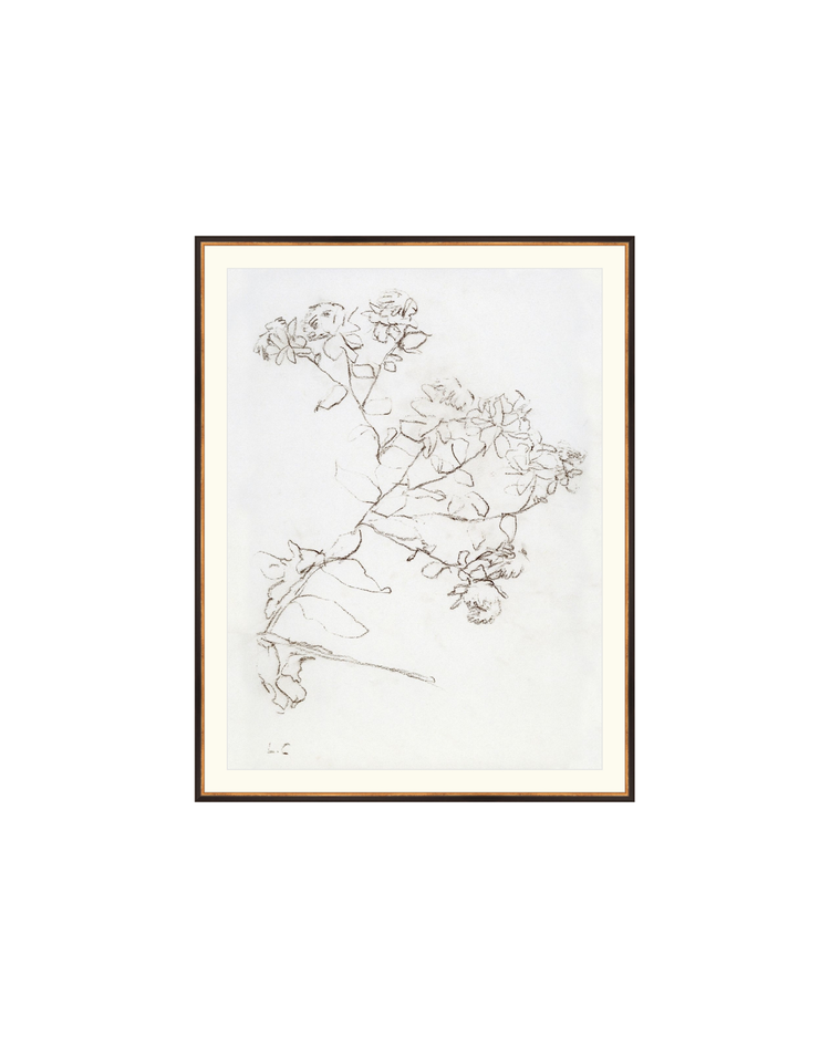 Botanical Study II HoJ